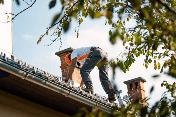 Quick and Trustworthy Emergency Roof Repair Services in Zion, PA